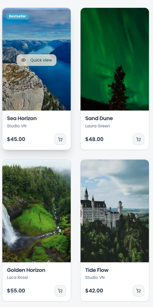 Webshop Items (Prototype)